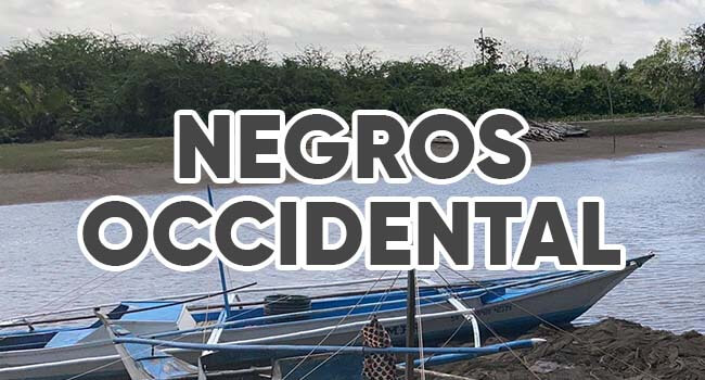 Projects in the Negros